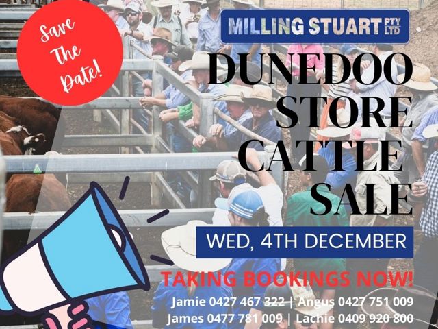 Dunedoo Monthly Store Cattle Sale